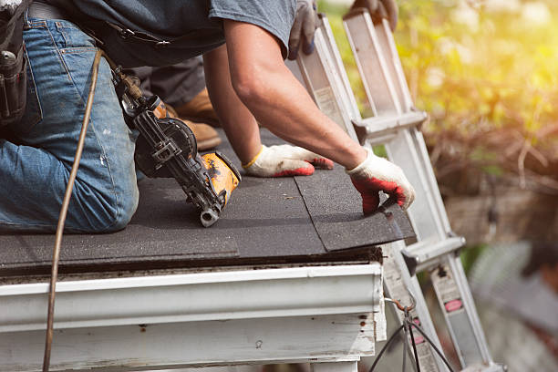 Roof Gutter Cleaning in Lambert, MS