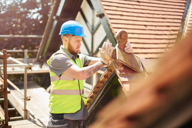 Best Metal Roofing Contractor  in Lambert, MS